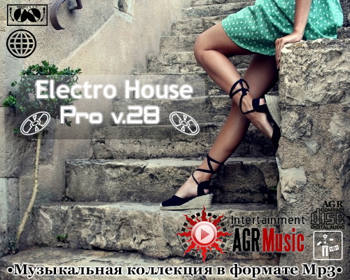 VA - Electro House Pro V.28 (2013) MP3