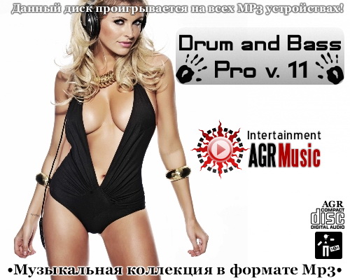 VA - Drum and Bass Pro V.11 (2013) MP3