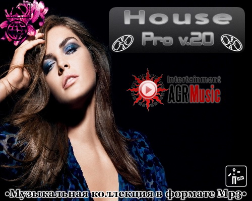 VA - House Pro V.20 (2013) MP3